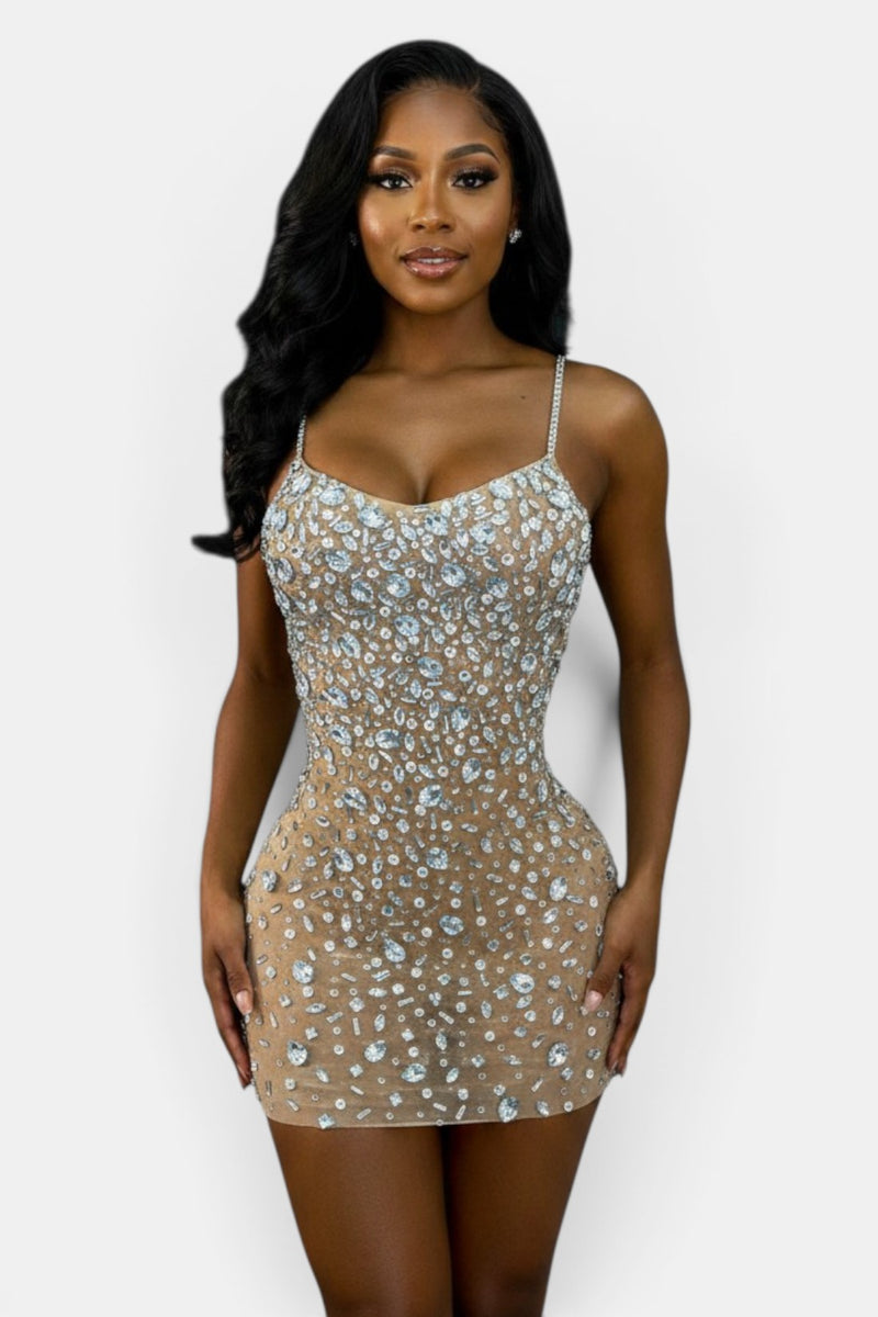 Monroe Crystal Embellished Nude Mesh Mini Dress